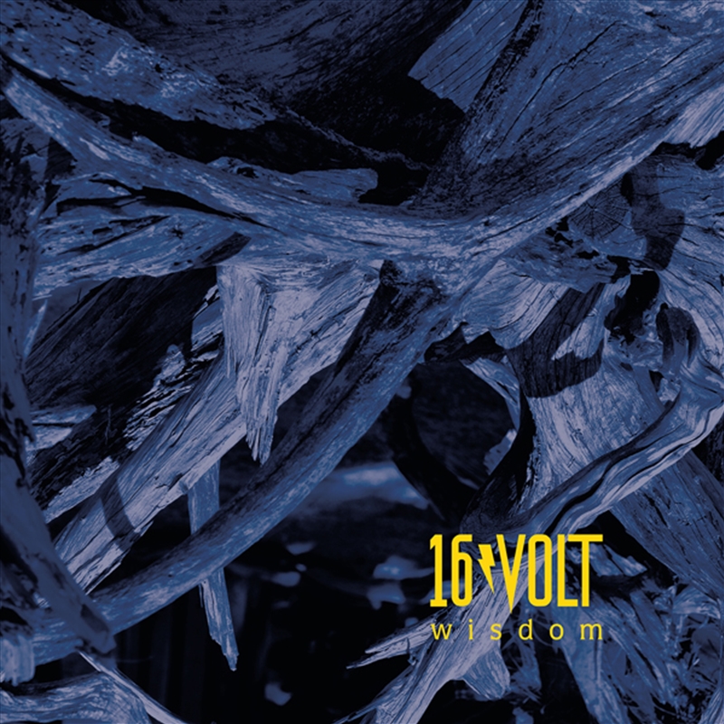 Wisdom/Product Detail/Rock/Pop
