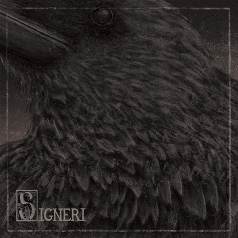 Signeri/Product Detail/Rock/Pop