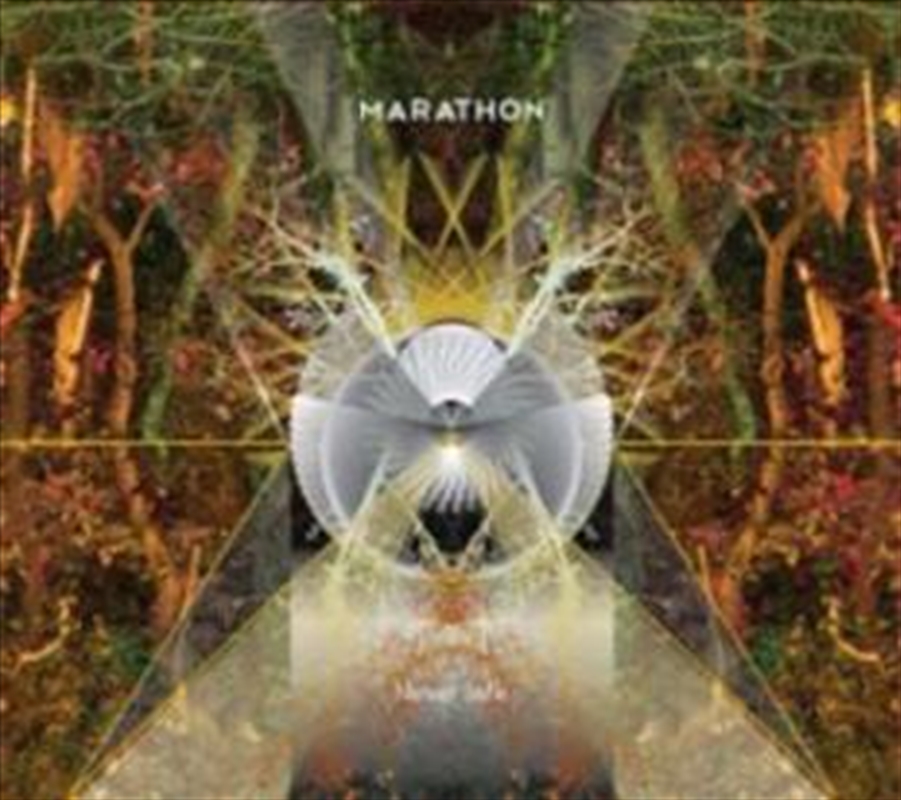 Never Safe/Product Detail/Alternative