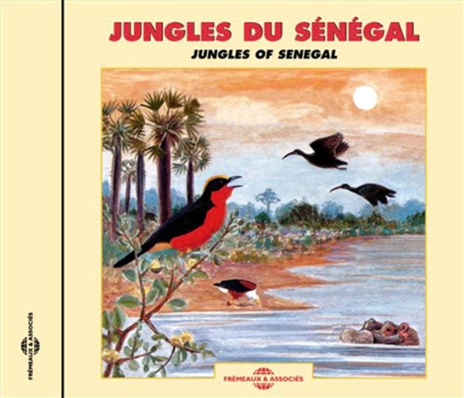 Jungles Of Senegal/Product Detail/Specialist