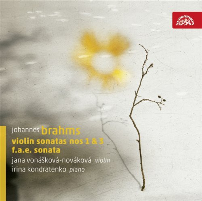 Violin Sonatas/Product Detail/Classical