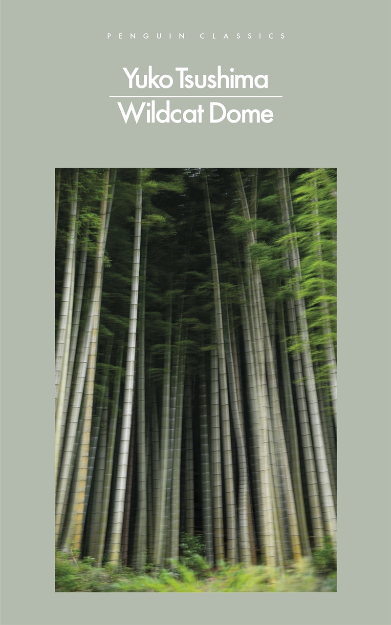 Wildcat Dome/Product Detail/General Fiction Books