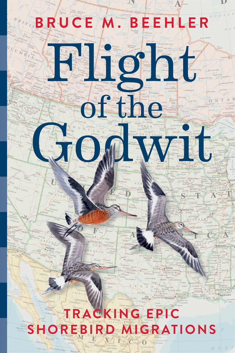 Flight of the Godwit/Product Detail/Animals & Nature