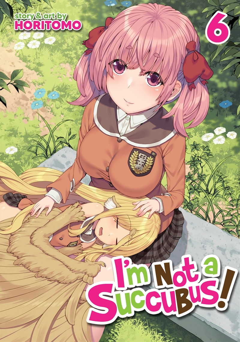 I'm Not a Succubus! Vol. 6/Product Detail/Graphic Novels