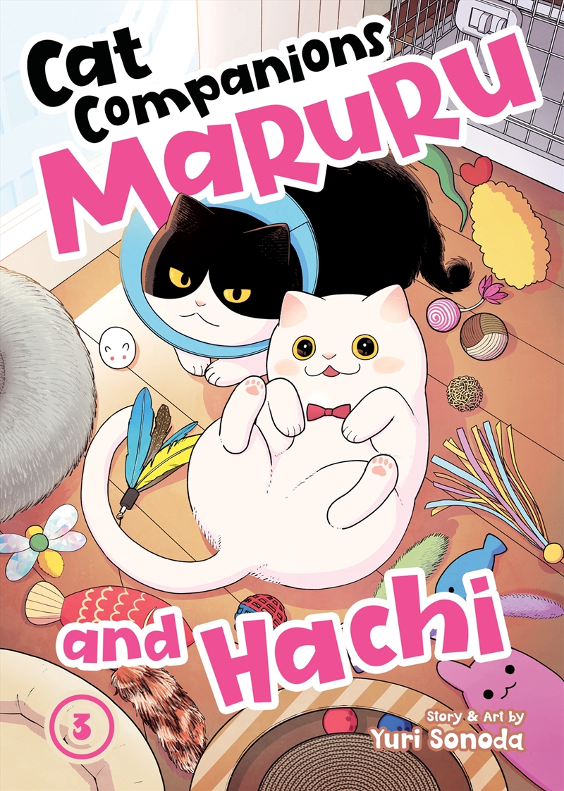 Cat Companions Maruru and Hachi Vol. 3/Product Detail/Manga