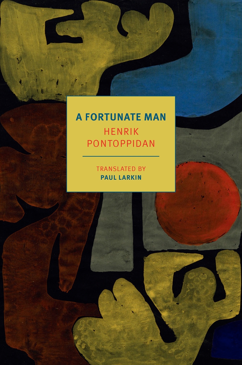 A Fortunate Man/Product Detail/General Fiction Books