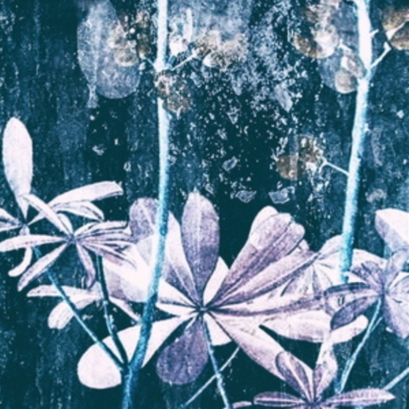 Ljostillifun/Product Detail/Dance