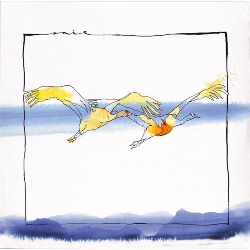 Vola/Product Detail/Dance