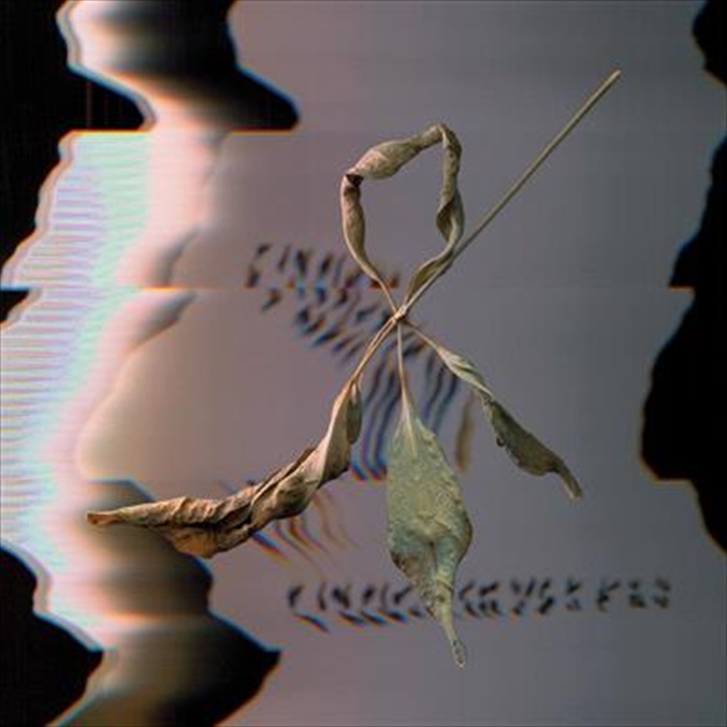 Trill Scan/Product Detail/Dance