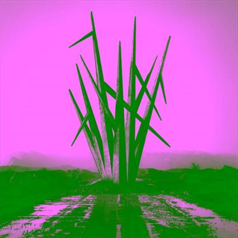 Teeth To Sky/Product Detail/Metal