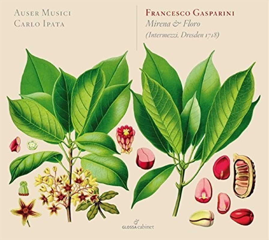 Mirena & Floro/Product Detail/Classical