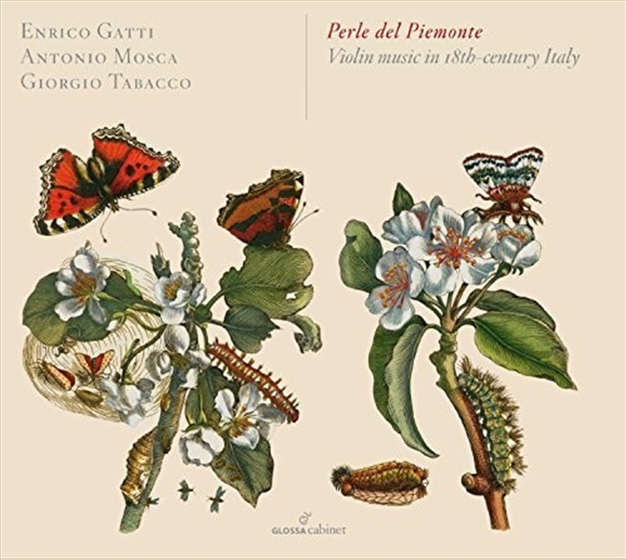 Perle Del Piemonte - Violin Music In 18Th-Century/Product Detail/Classical