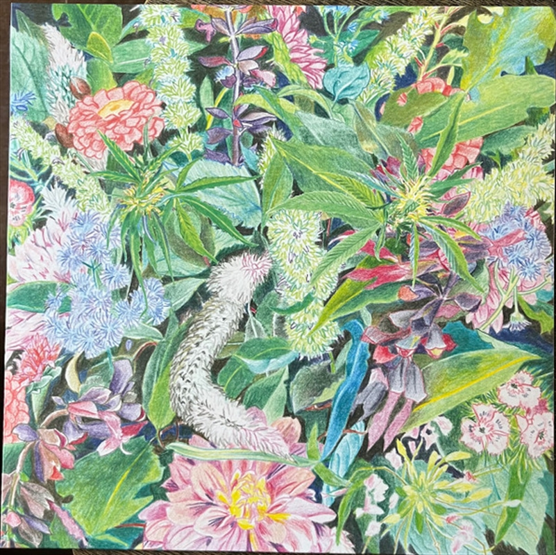 The Rising Wave/Product Detail/Dance