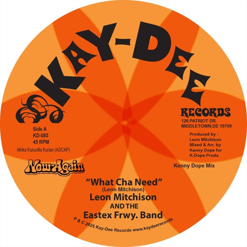 What Cha Need / Ill Take You There/Product Detail/R&B