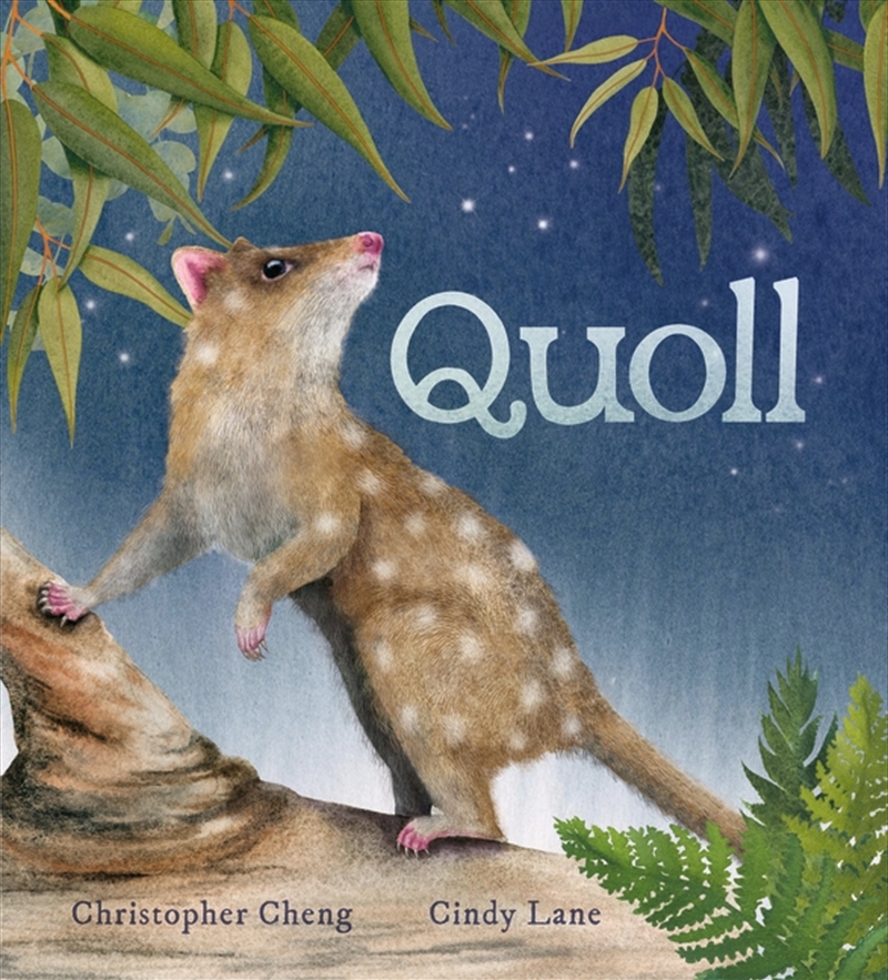 Quoll/Product Detail/Childrens