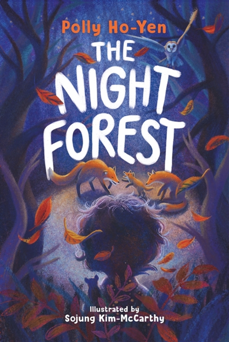 The Night Forest/Product Detail/Childrens Fiction Books