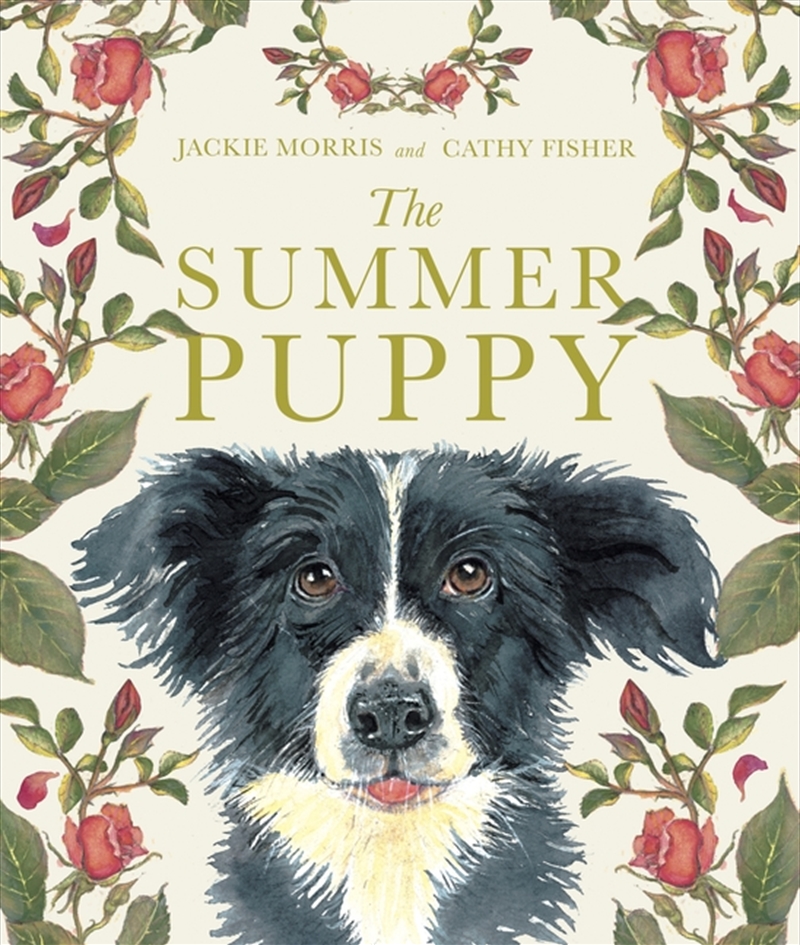 The Summer Puppy/Product Detail/Early Childhood Fiction Books