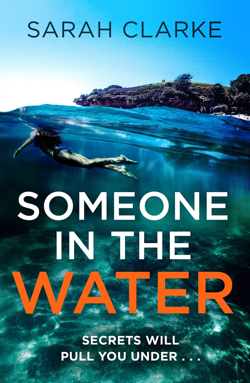 Someone in the Water/Product Detail/Thrillers & Horror Books