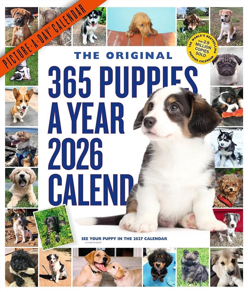 365 Puppies-A-Year Picture-A-Day  Wall Calendar 2026/Product Detail/Calendars & Diaries