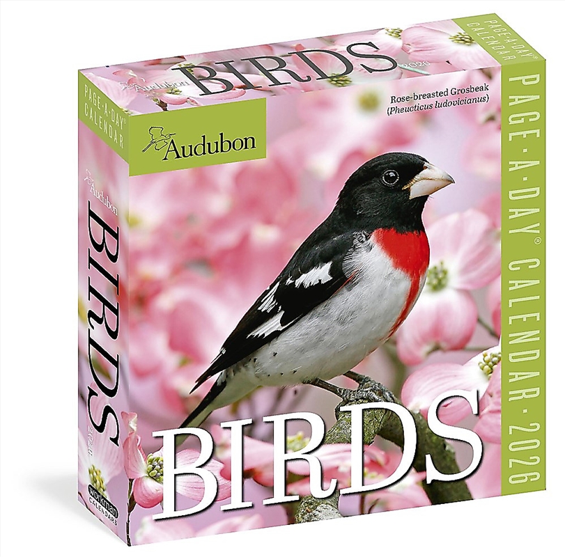 Audubon Birds Page-A-Day  Calendar 2026/Product Detail/Calendars & Diaries