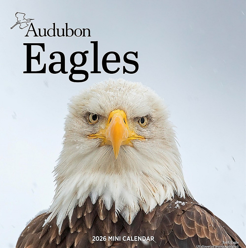 Audubon Eagles Mini Wall Calendar 2026/Product Detail/Calendars & Diaries