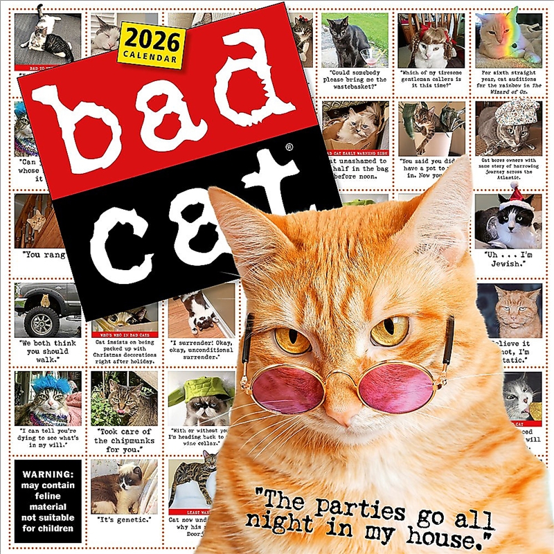 Bad Cat Wall Calendar 2026/Product Detail/Calendars & Diaries
