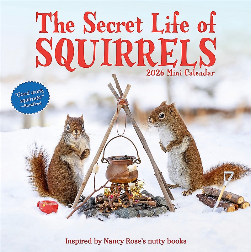 Secret Life of Squirrels Mini Wall Calendar 2026/Product Detail/Calendars & Diaries