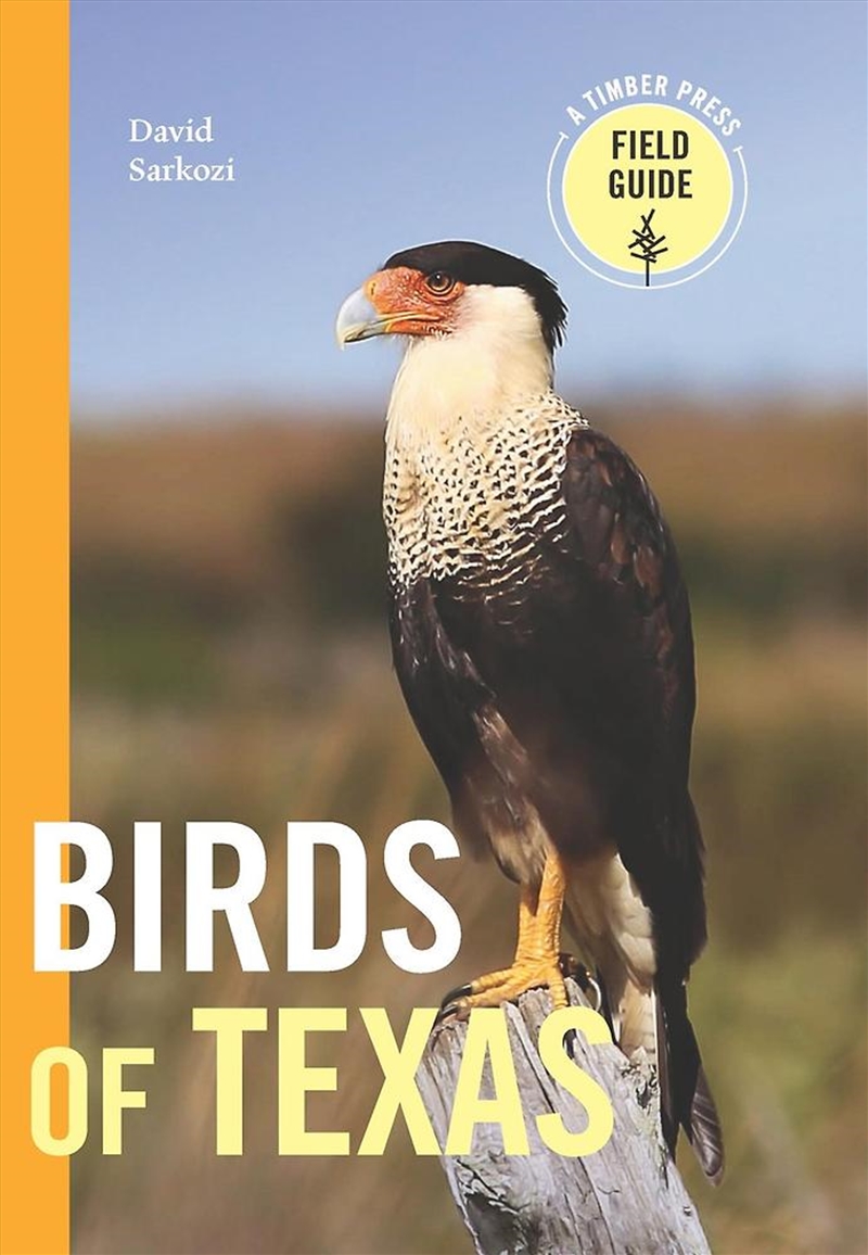 Birds Of Texas/Product Detail/Animals & Nature