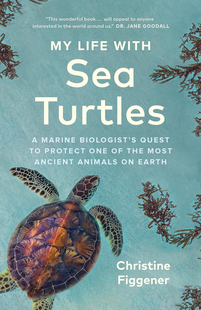 My Life With Sea Turtles/Product Detail/Biographies & True Stories