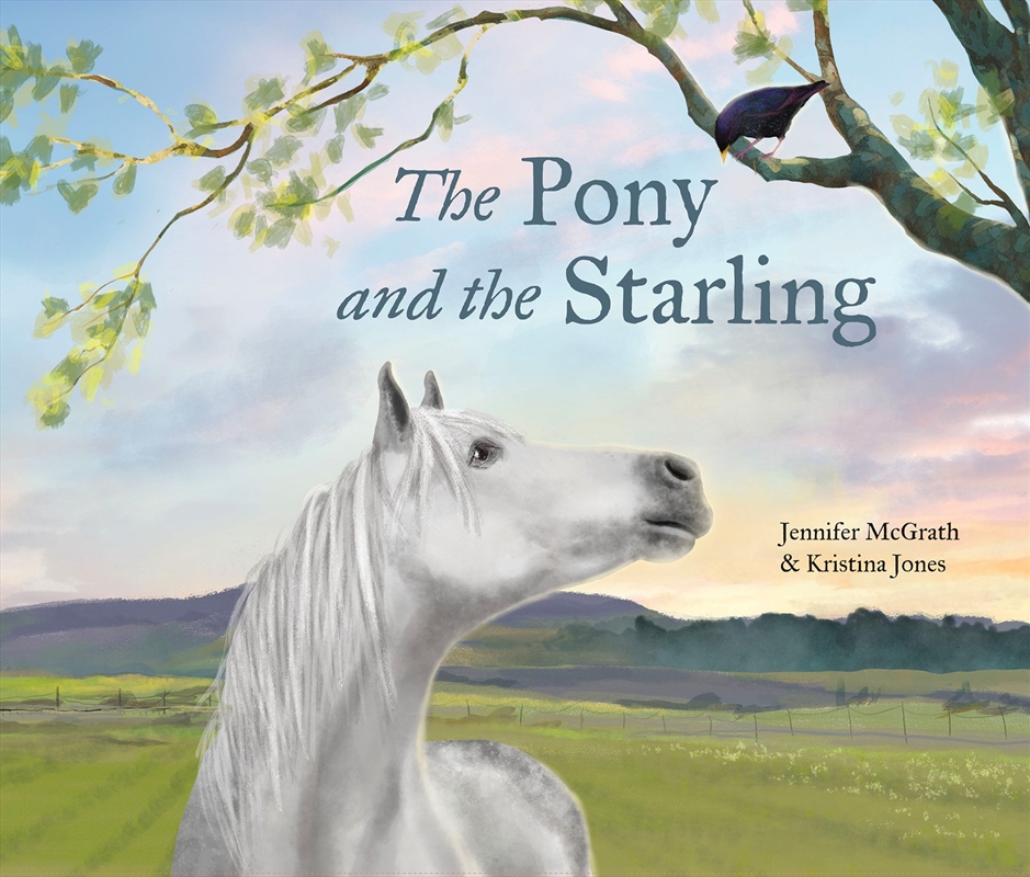 The Pony and the Starling/Product Detail/Early Childhood Fiction Books