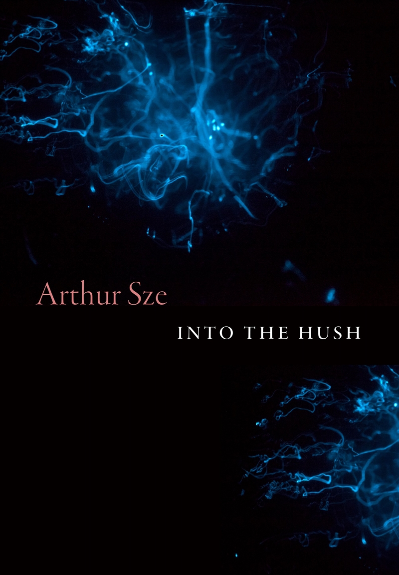 Into the Hush/Product Detail/Reading