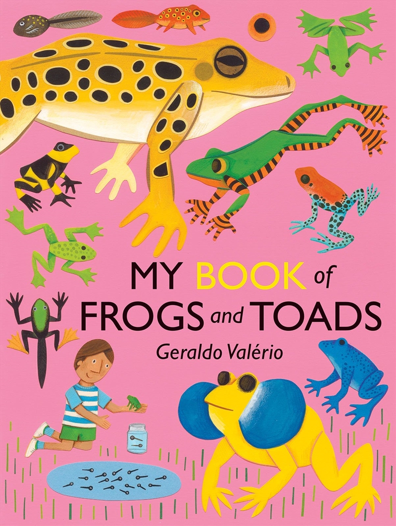 My Book of Frogs and Toads/Product Detail/Children