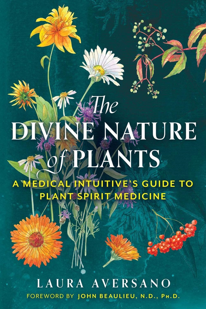 The Divine Nature Of Plants/Product Detail/Religion & Beliefs