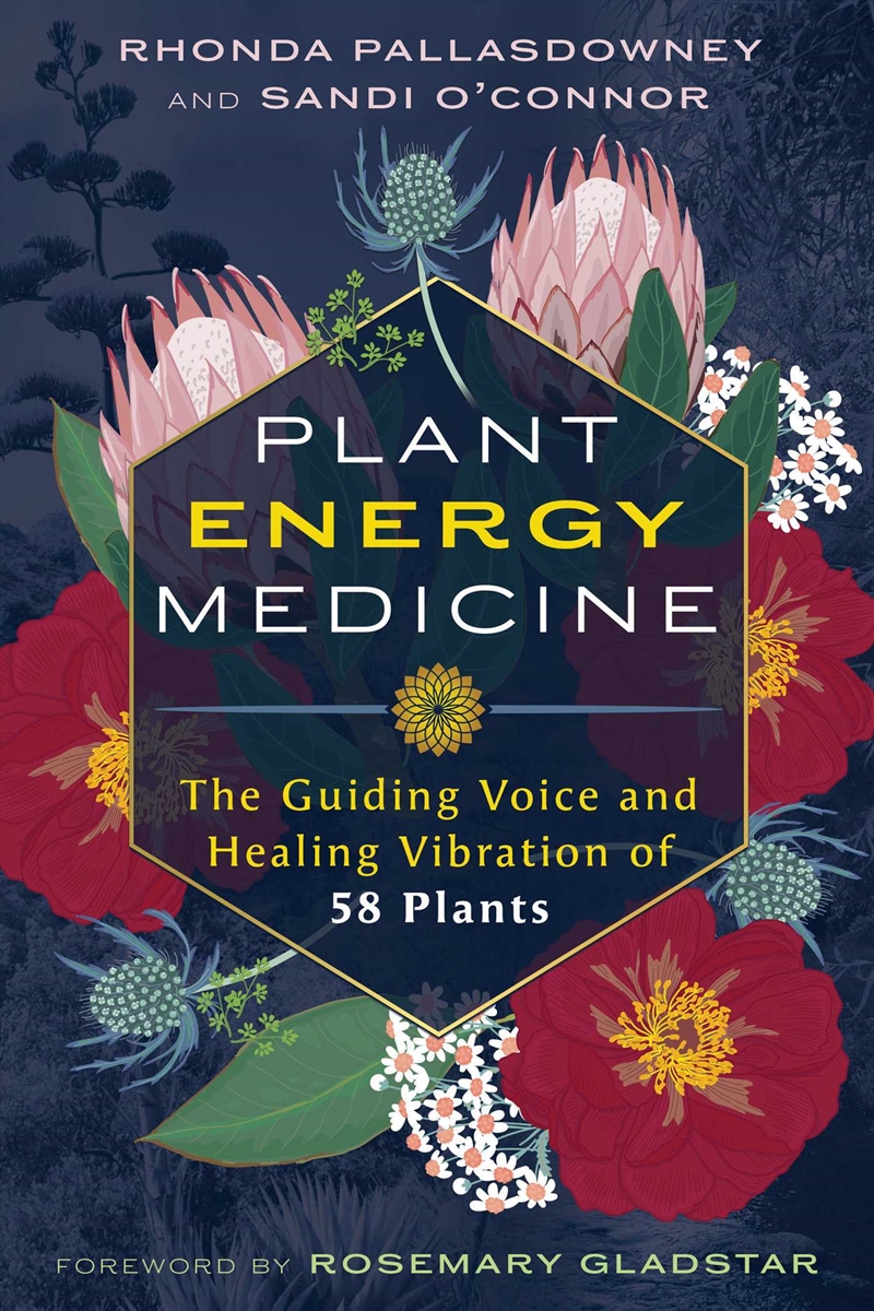 Plant Energy Medicine/Product Detail/Religion & Beliefs