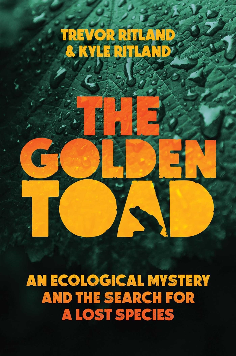 The Golden Toad/Product Detail/Animals & Nature
