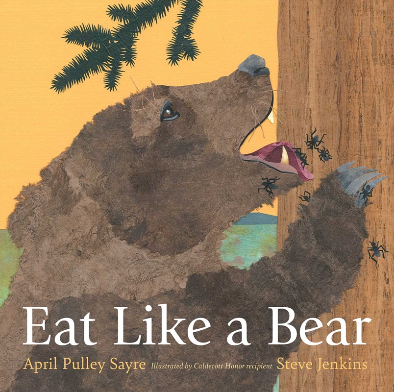 Eat Like a Bear/Product Detail/Early Childhood Fiction Books