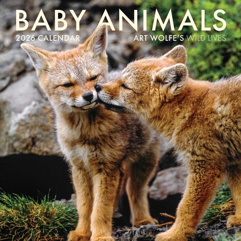 2026 Baby Animals Wall Calendar/Product Detail/Calendars & Diaries