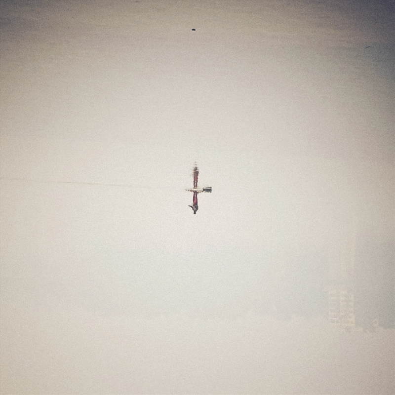 Endling - Translucent Vinyl/Product Detail/Dance