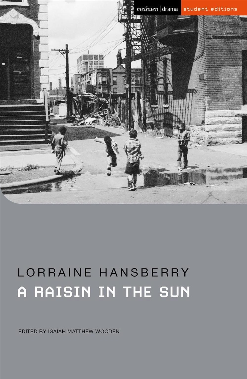 A Raisin in the Sun/Product Detail/Literature & Poetry