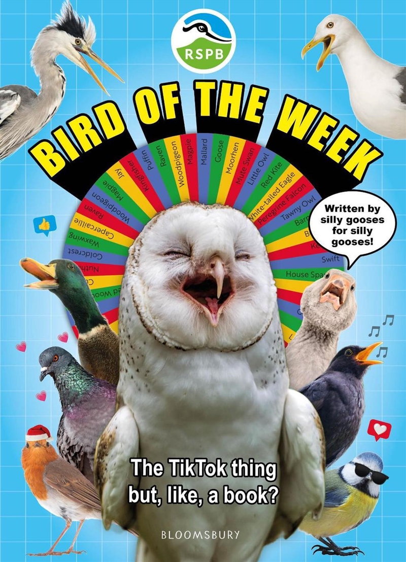 Rspb Bird Of The Week: The Tiktok Thing But, Like, A Book?/Product Detail/Animals & Nature