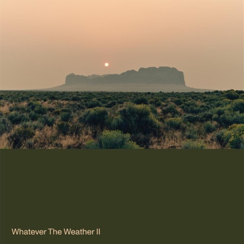 Wahatever The Weather Ii - Dark Green Vinyl/Product Detail/Dance