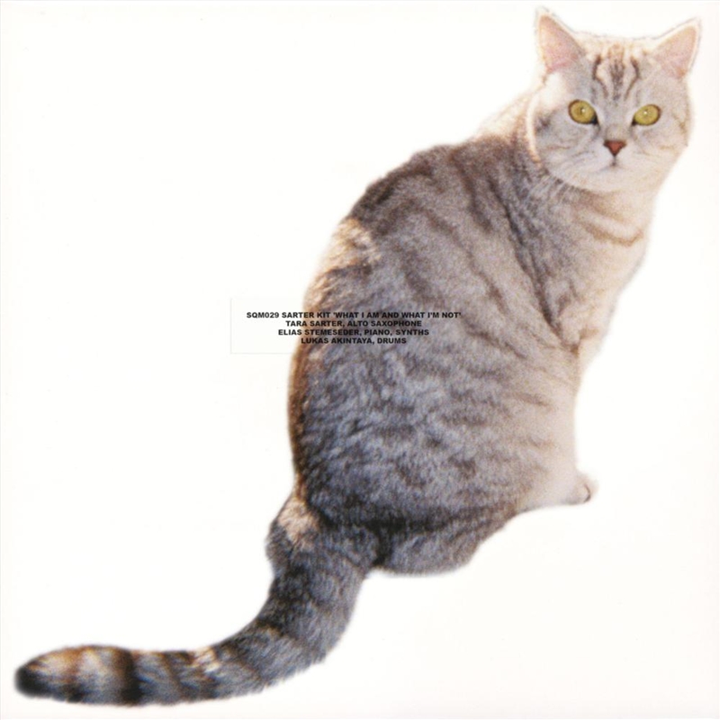 What I Am And What I'm Not/Product Detail/Jazz