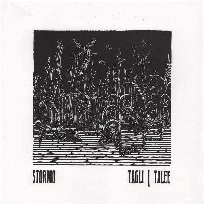 Tagli/Talee/Product Detail/Punk