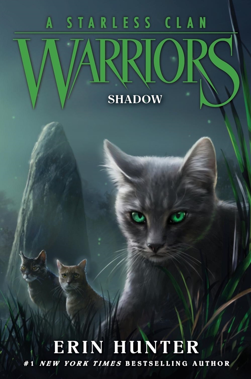 Warriors/Product Detail/Childrens Fiction Books