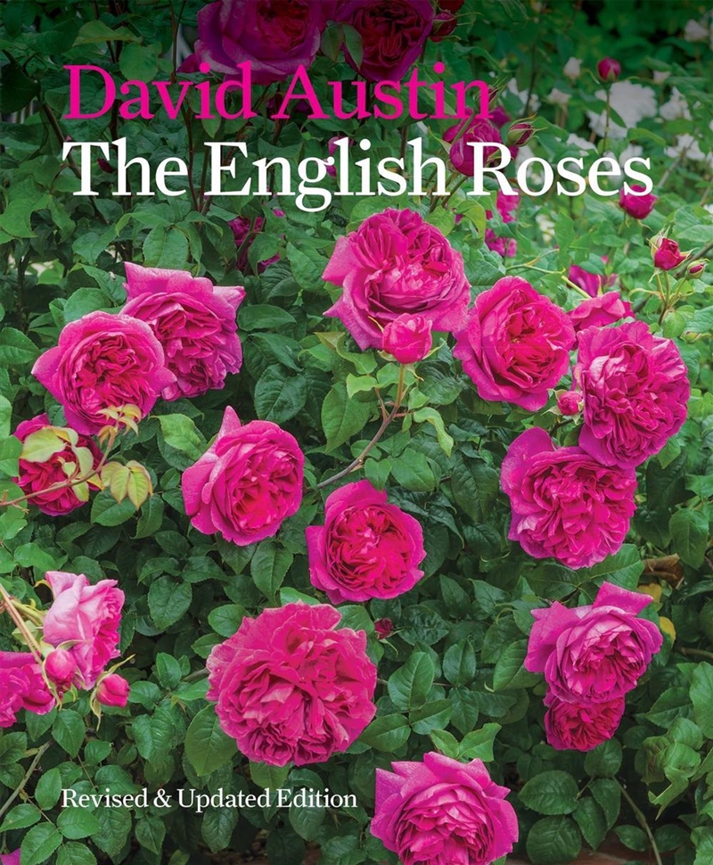 The English Roses/Product Detail/Gardening