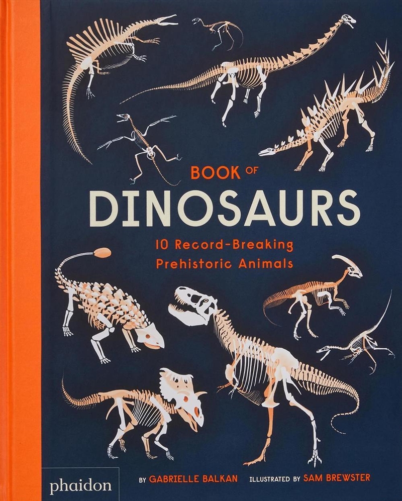 Book Of Dinosaurs/Product Detail/Childrens