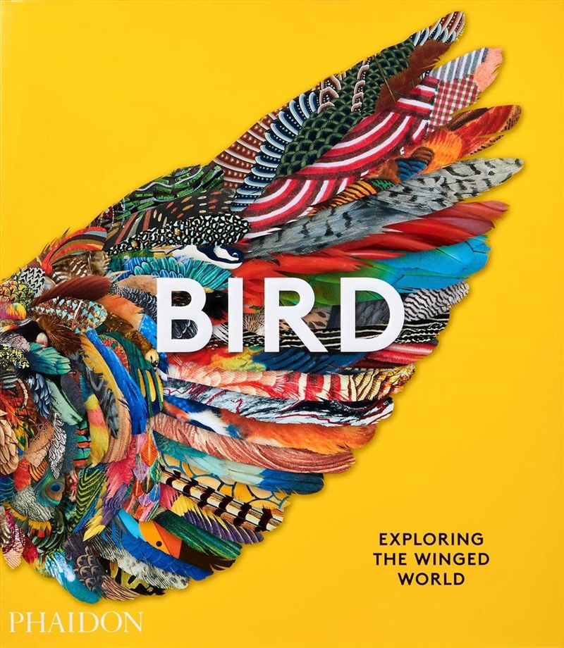 Bird: Exploring the Winged World/Product Detail/Art