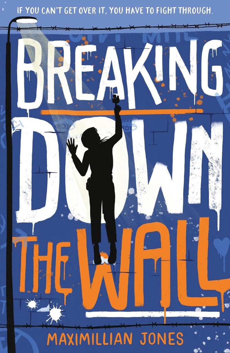 Breaking Down The Wall/Product Detail/Childrens Fiction Books