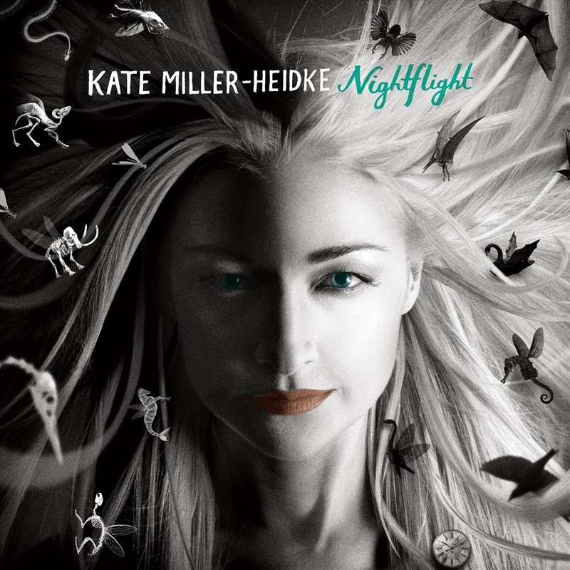Nightflight: Deluxe Edition/Product Detail/Pop