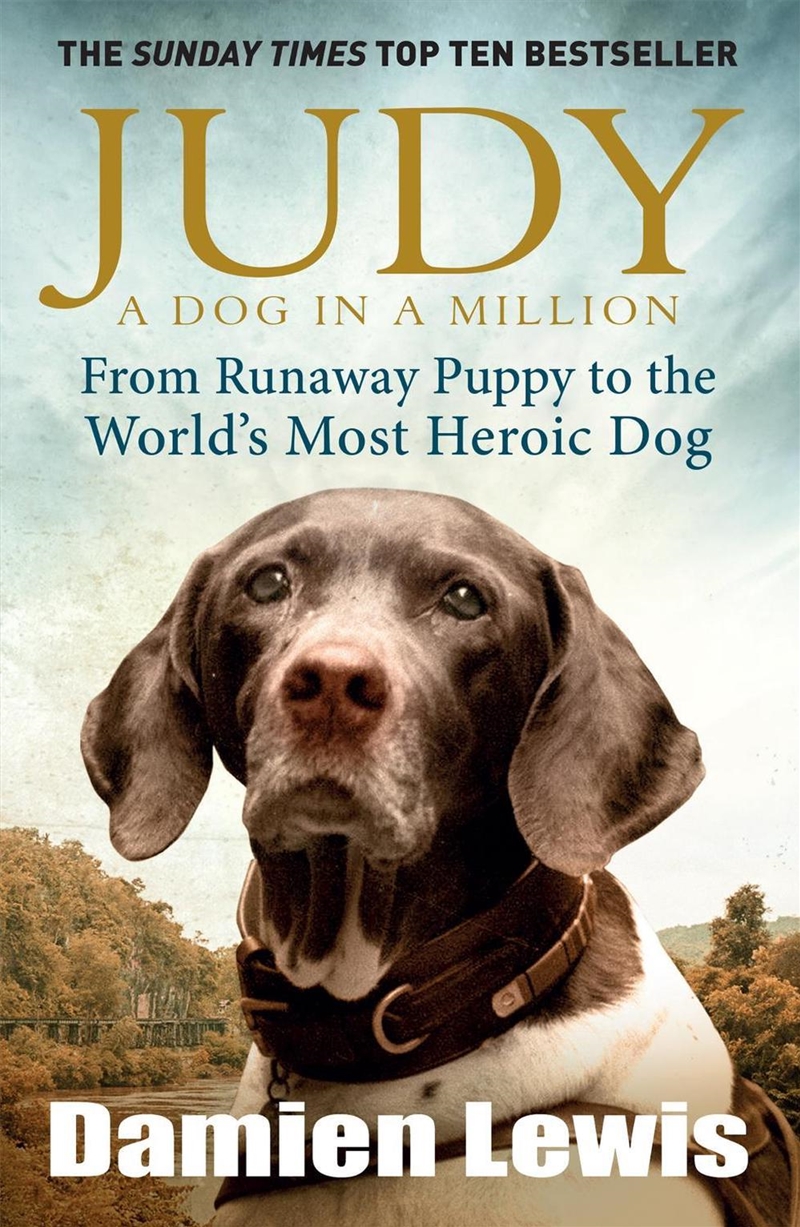 Judy: A Dog in a Million/Product Detail/History